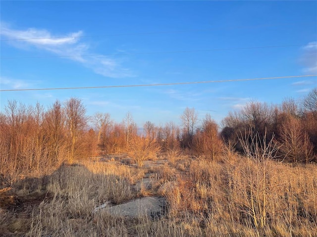 3085 N Sr 39, Lebanon, IN 46052 - photo 1
