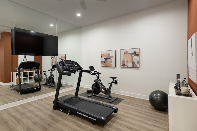 workout room featuring ceiling fan and light hardwood / wood-style flooring