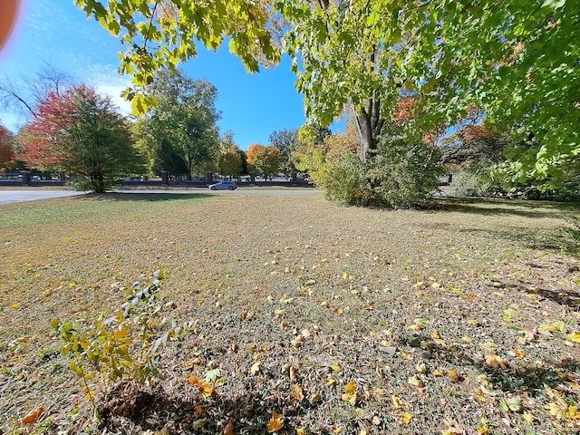 3607 Boulevard Pl, Indianapolis IN, 46208 land for sale