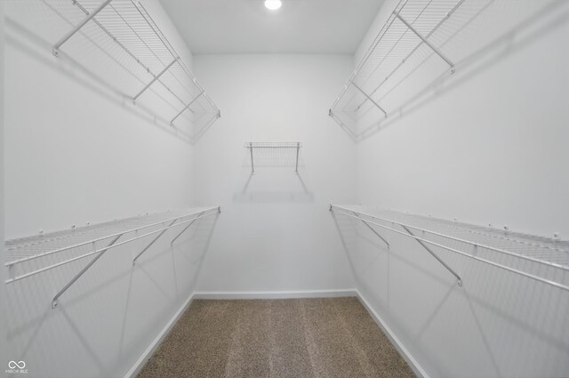 16969 Cole Evans Dr, Noblesville, IN 46060 - photo 26