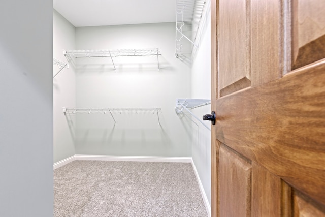 walk in closet featuring carpet flooring