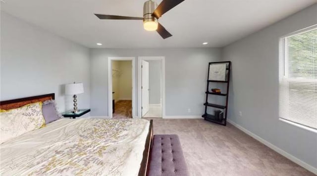 carpeted bedroom with a spacious closet, a closet, and ceiling fan