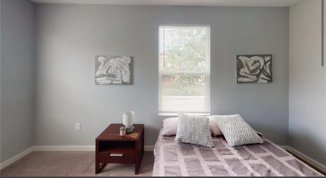 bedroom with carpet floors