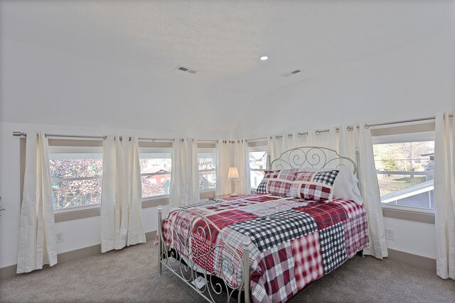 bedroom with dark colored carpet, vaulted ceiling, and a textured ceiling