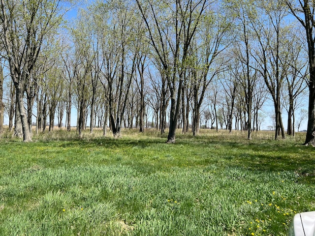 3205 N State Road 39, Lebanon, IN 46052 - photo 1