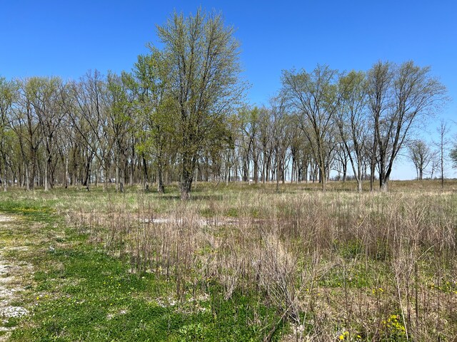 3205 N State Road 39, Lebanon, IN 46052 - photo 4