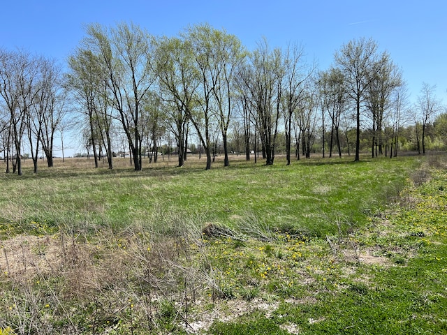 3205 N State Road 39, Lebanon, IN 46052 - photo 3