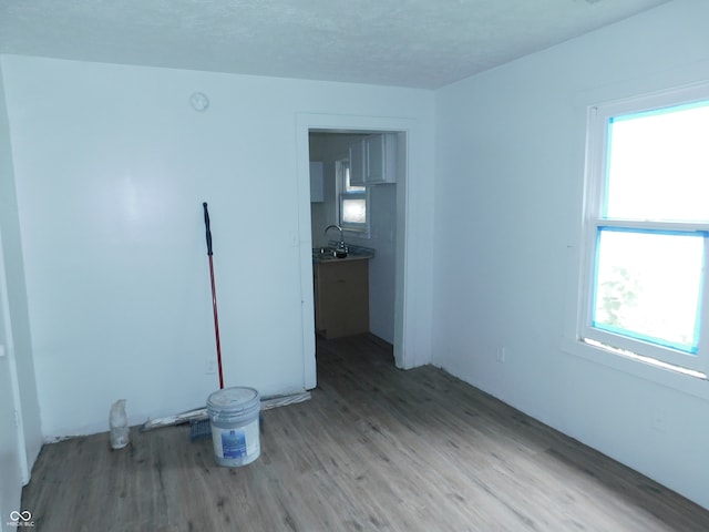 unfurnished room featuring a textured ceiling, a wealth of natural light, and wood-type flooring