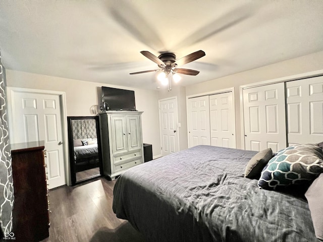 bedroom with multiple closets, ceiling fan, and dark wood-type flooring