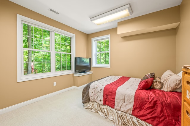 bedroom with carpet flooring