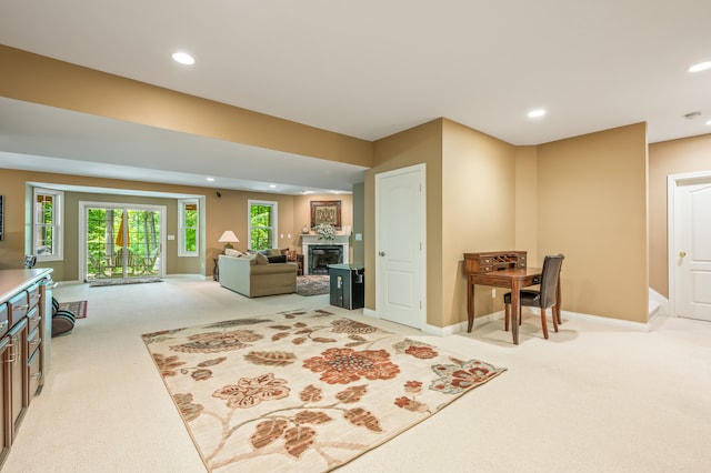 interior space with light colored carpet