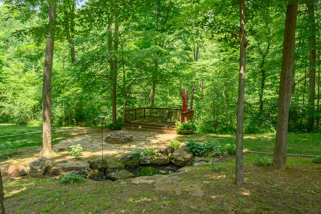 view of yard featuring a wooden deck