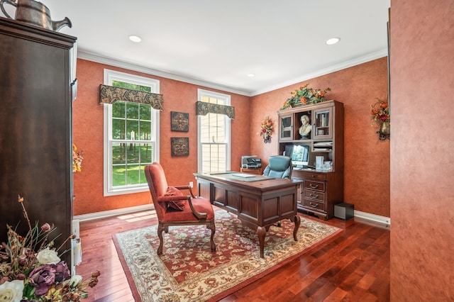 office featuring crown molding and dark hardwood / wood-style floors