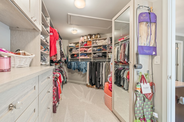 walk in closet with light colored carpet