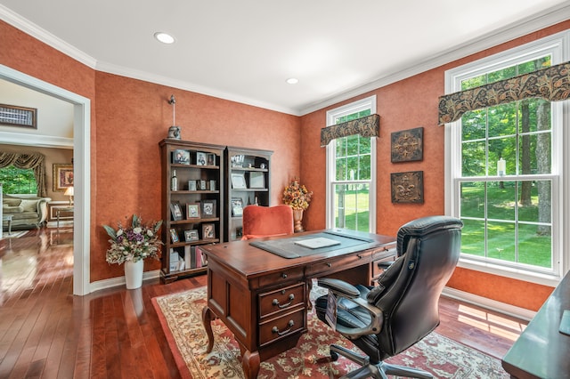 office featuring crown molding and dark wood-type flooring