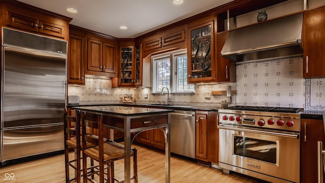 kitchen with sink, range hood, backsplash, light hardwood / wood-style floors, and high end appliances