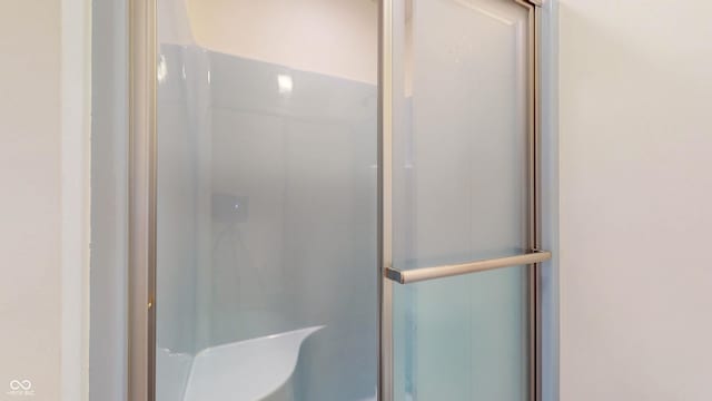 bathroom featuring a shower with shower door