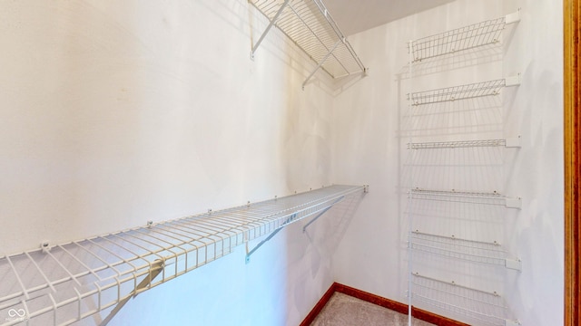 walk in closet featuring carpet floors