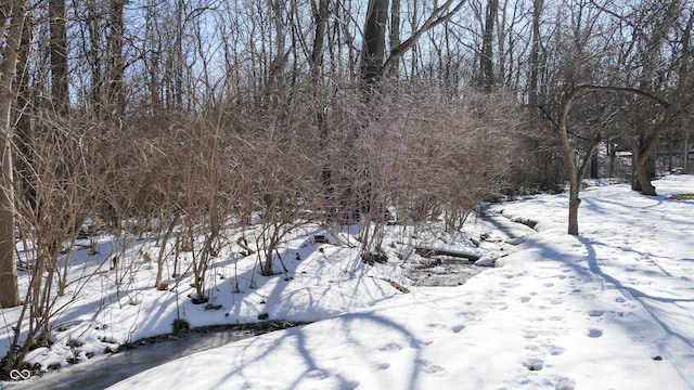 view of snowy landscape