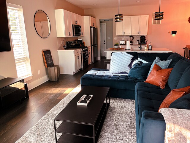 living room with dark hardwood / wood-style flooring