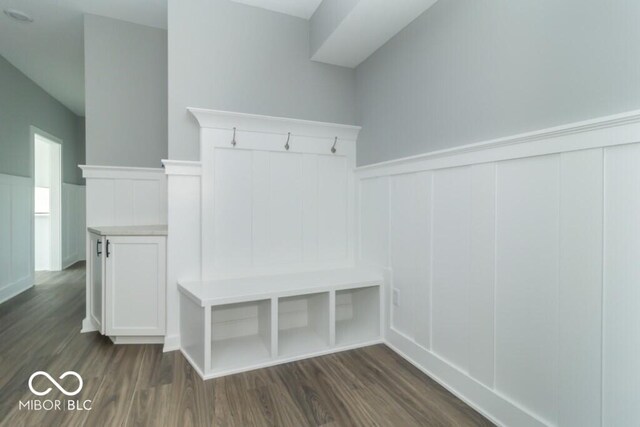 mudroom featuring dark wood-type flooring