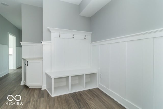 mudroom featuring dark hardwood / wood-style floors