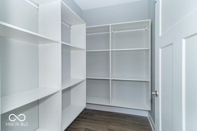 spacious closet with dark wood-type flooring