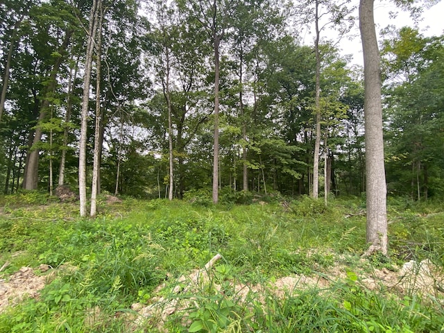 10380 Holliday Farms Blvd, Zionsville, IN 46077