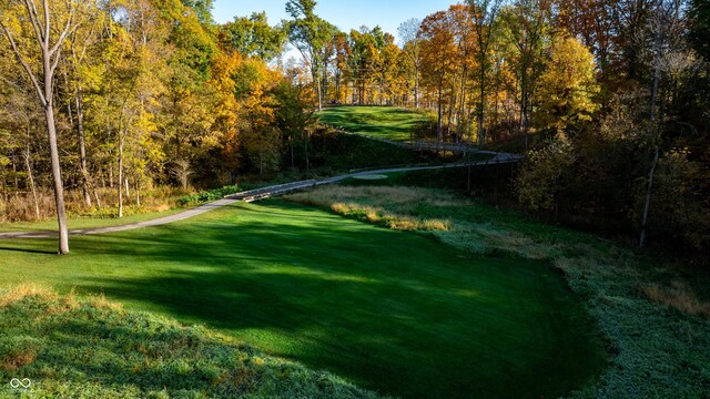 10380 Holliday Farms Blvd, Zionsville, IN 46077 - photo 14