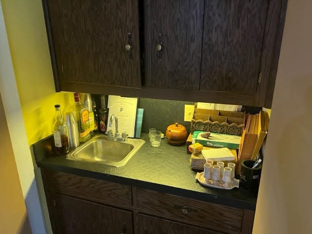 kitchen with sink and dark brown cabinets