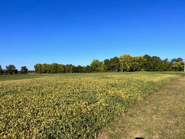 7445 S 100 E, Pendleton, IN 46064