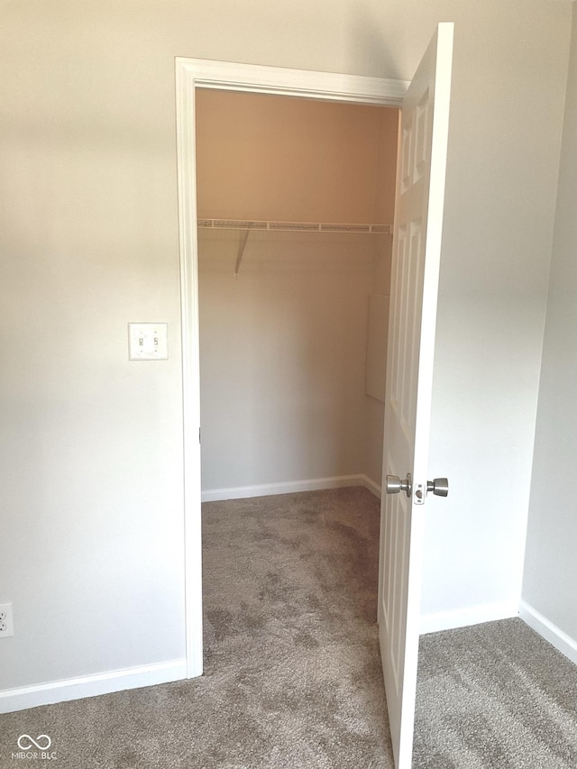 1327 Blue Ridge Ln, Brownsburg, IN 46112 - walk in closet with carpet floors