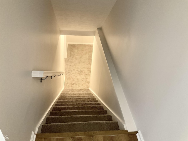 1327 Blue Ridge Ln, Brownsburg, IN 46112 - stairway featuring carpet