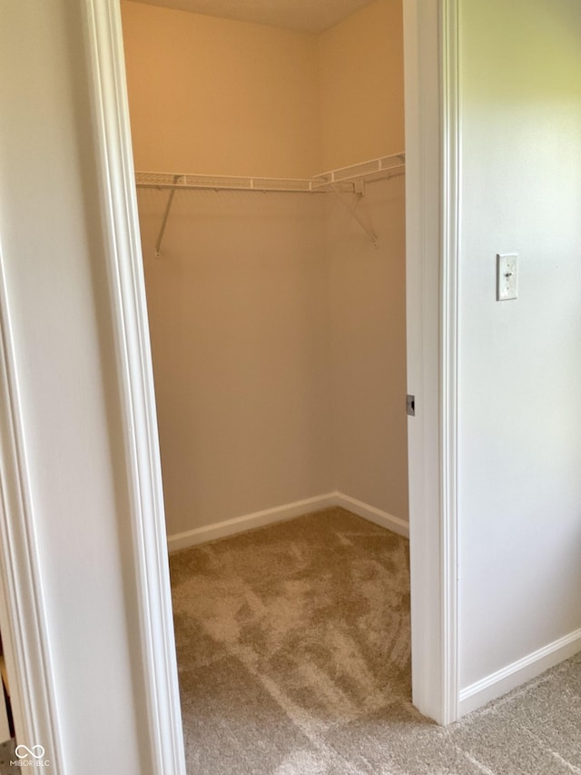 1327 Blue Ridge Ln, Brownsburg, IN 46112 - spacious closet with carpet