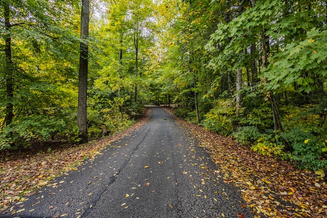 view of road