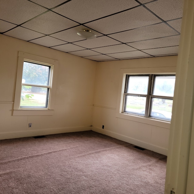 carpeted empty room with a healthy amount of sunlight and a drop ceiling