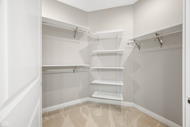 walk in closet with carpet floors