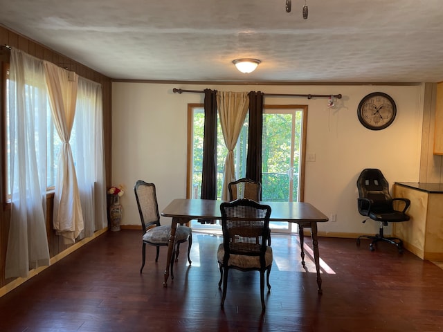 dining space featuring a wealth of natural light and dark hardwood / wood-style floors