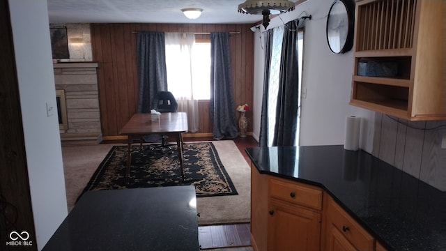 kitchen with wooden walls