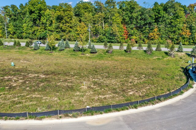 4185 Hartswick Ct, Zionsville, IN 46077 - photo 3