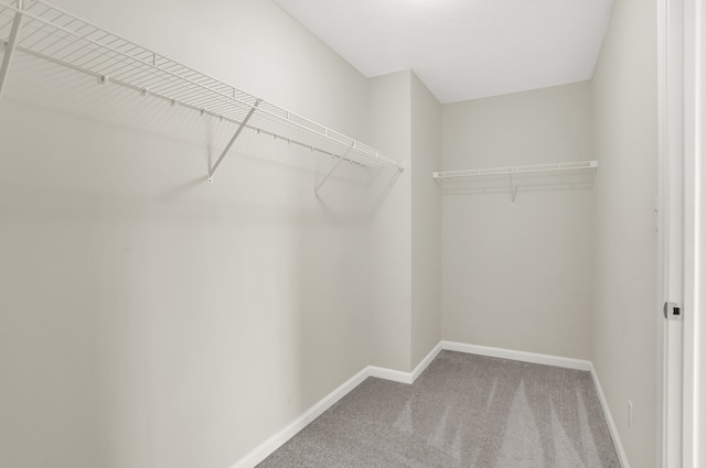 walk in closet featuring carpet flooring