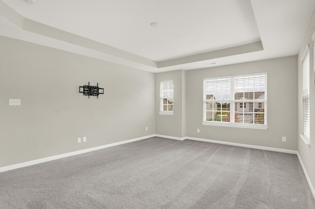 unfurnished room featuring carpet floors, a healthy amount of sunlight, and a tray ceiling