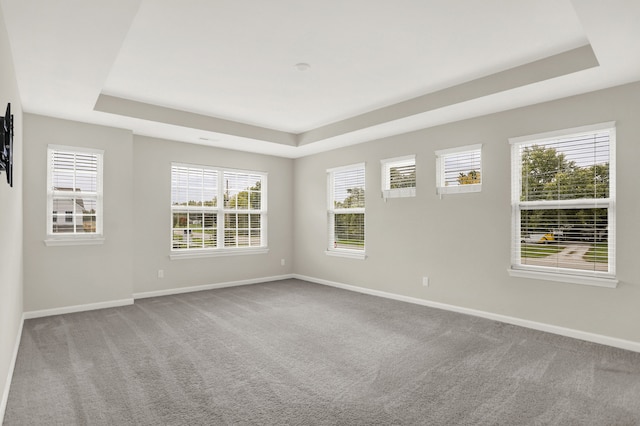 carpeted spare room featuring a raised ceiling and a healthy amount of sunlight