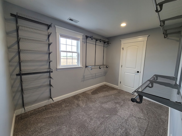 walk in closet featuring carpet floors