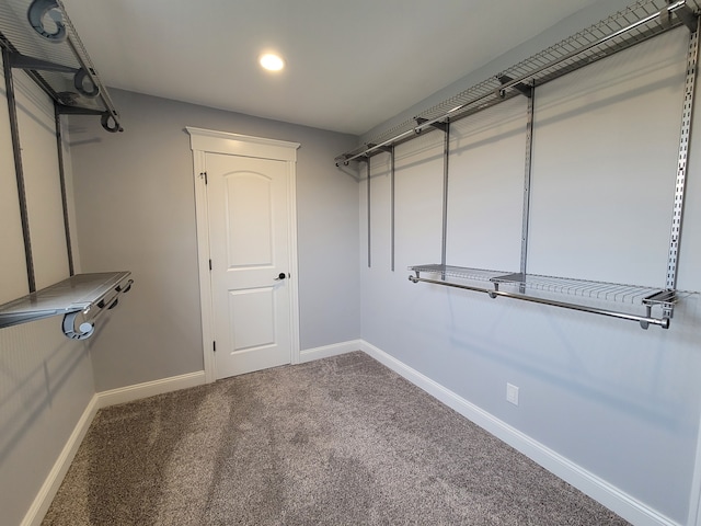 walk in closet with carpet