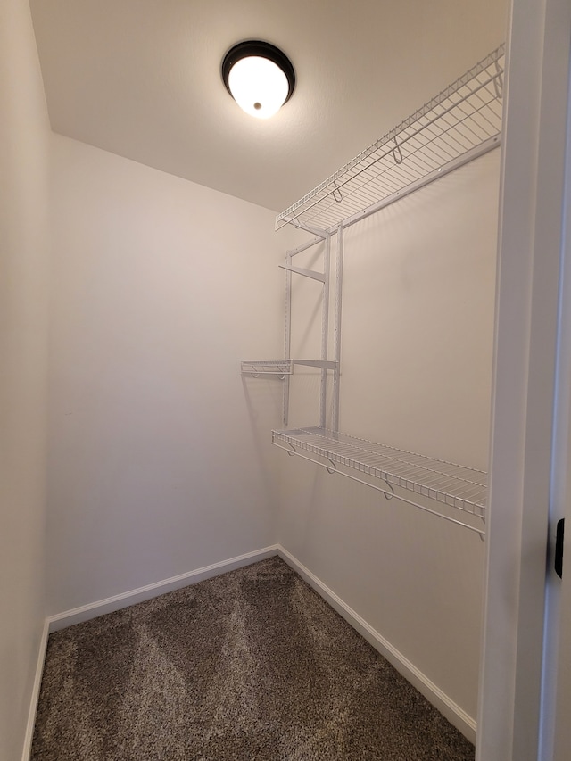 spacious closet with carpet flooring