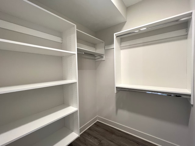 walk in closet with dark wood-type flooring