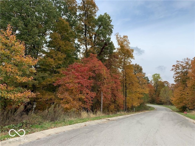 view of road