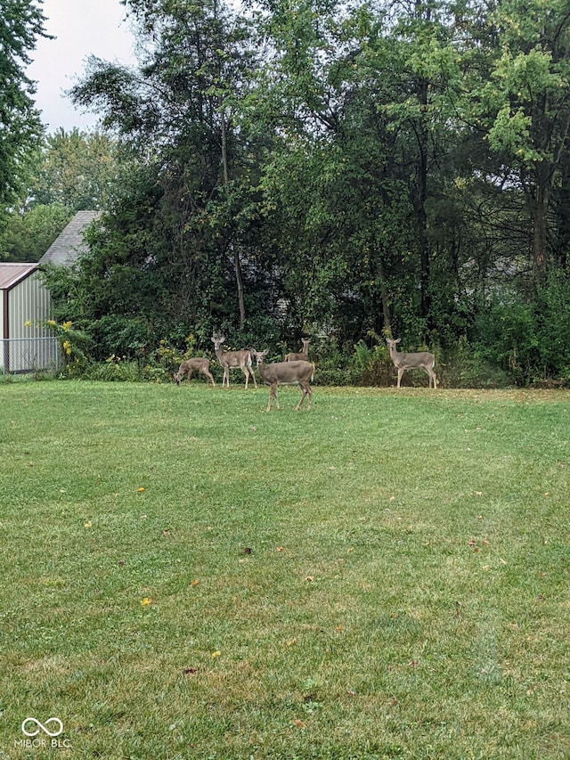 310 Jefferson, Coatesville, IN 46121 - view of grassy yard