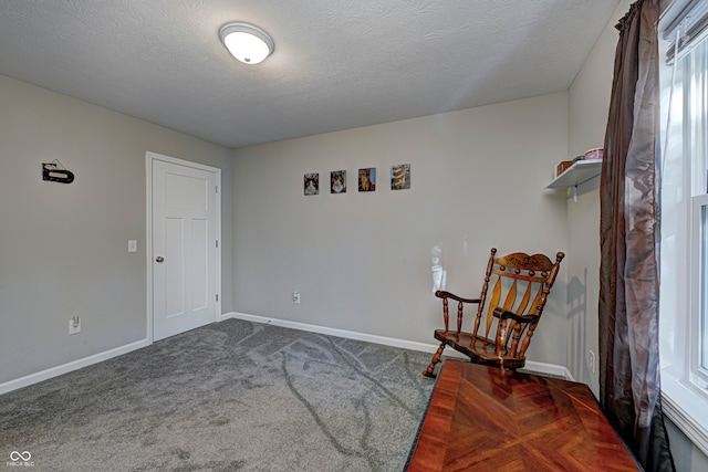 living area featuring dark colored carpet and a textured ceiling